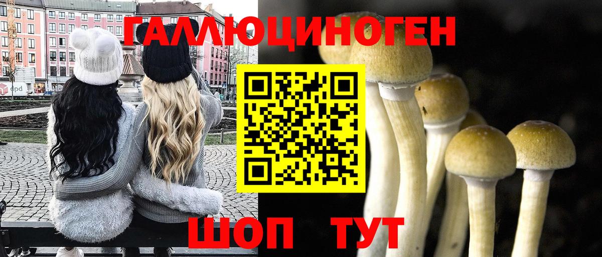 купить наркоту  Галлюциногенные грибы MAGIC MUSHROOMS  Коряжма  Вход с VPN  Галлюциногенные грибы Psilocybe 