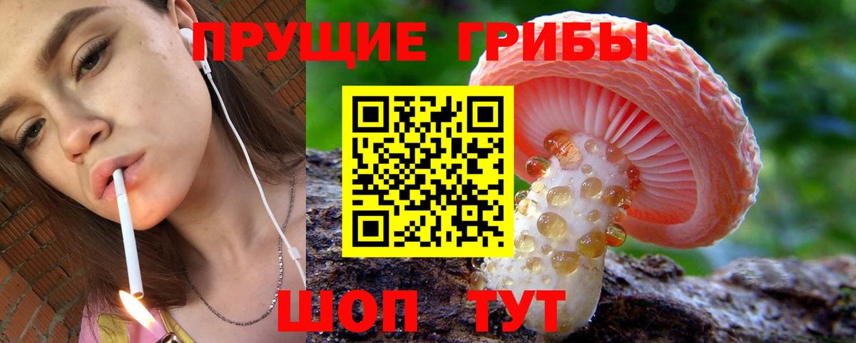 Галлюциногенные грибы GOLDEN TEACHER Коряжма